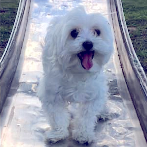 Meet your Posher friend Katelyn! - Picture 2 of 2